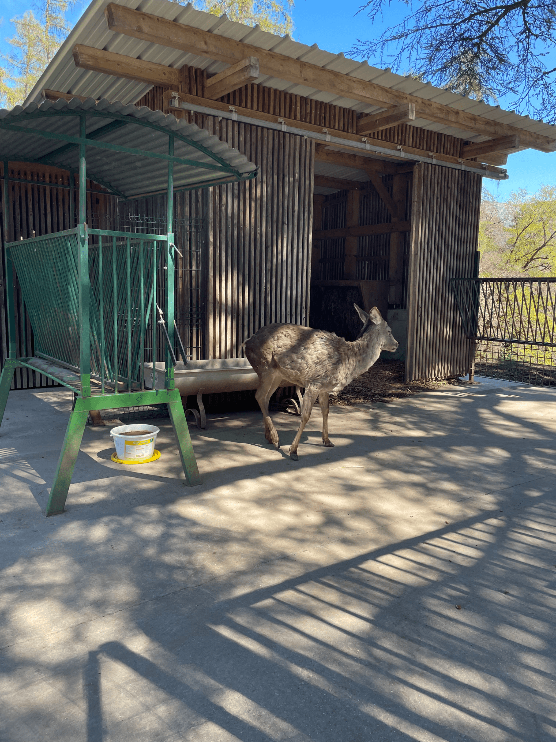 Parc animalier de la Grande Jeanne
