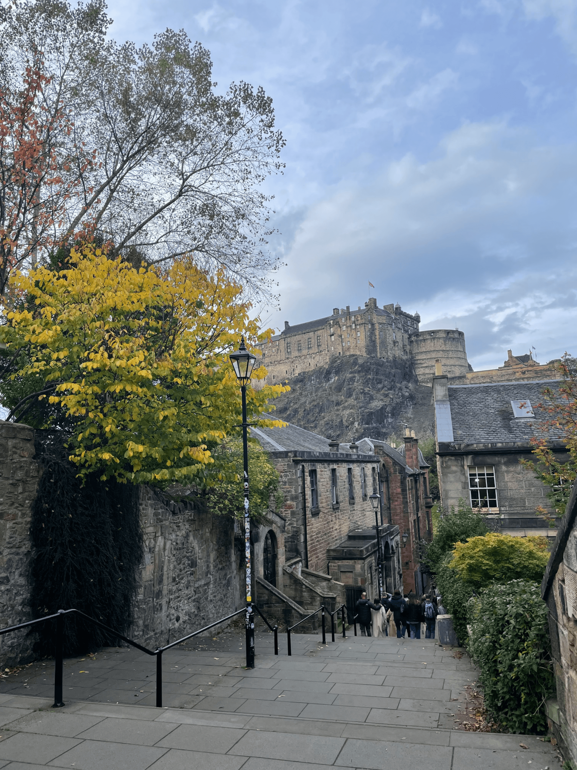 The vennel
