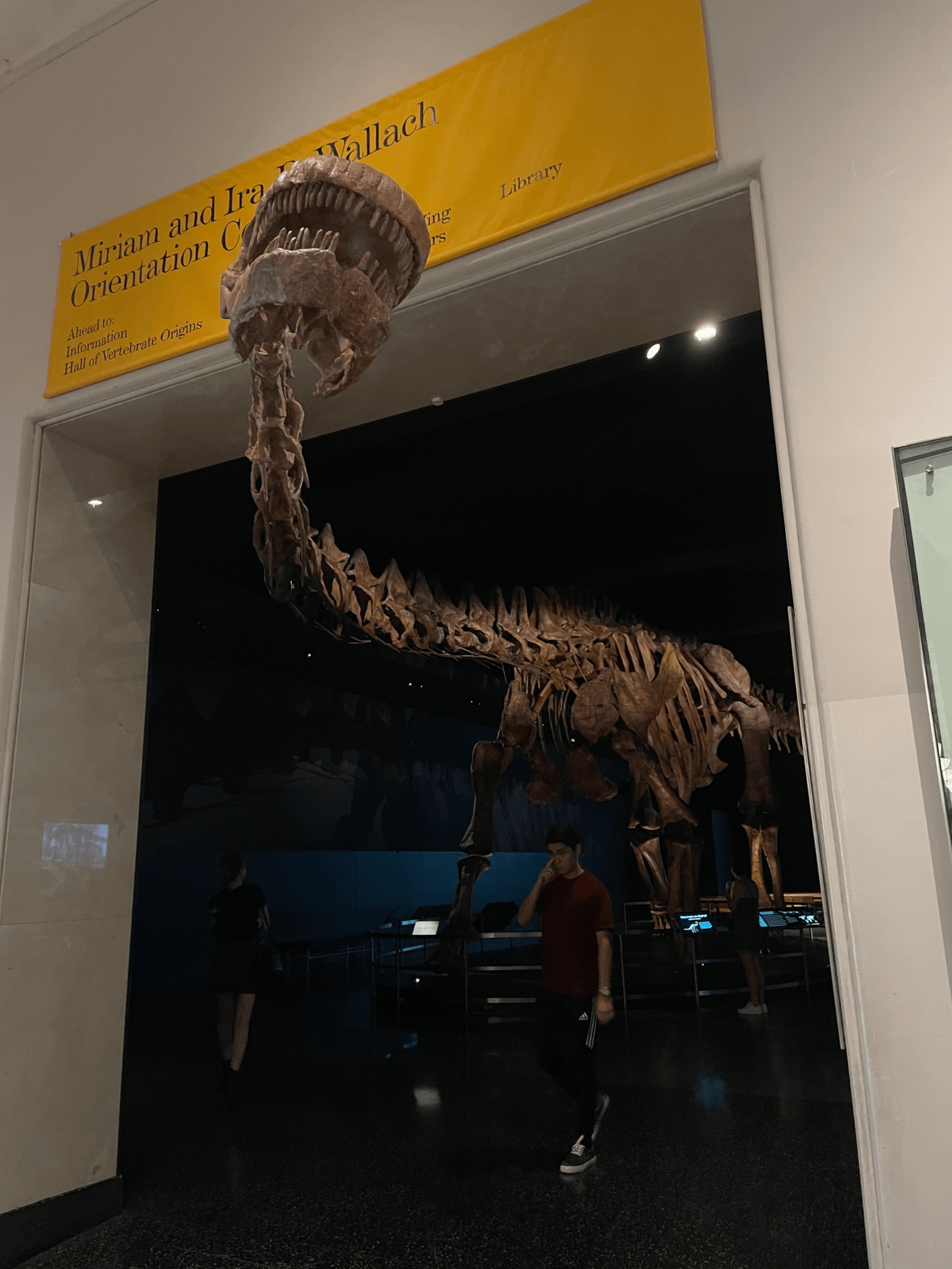 American museum of natural history 