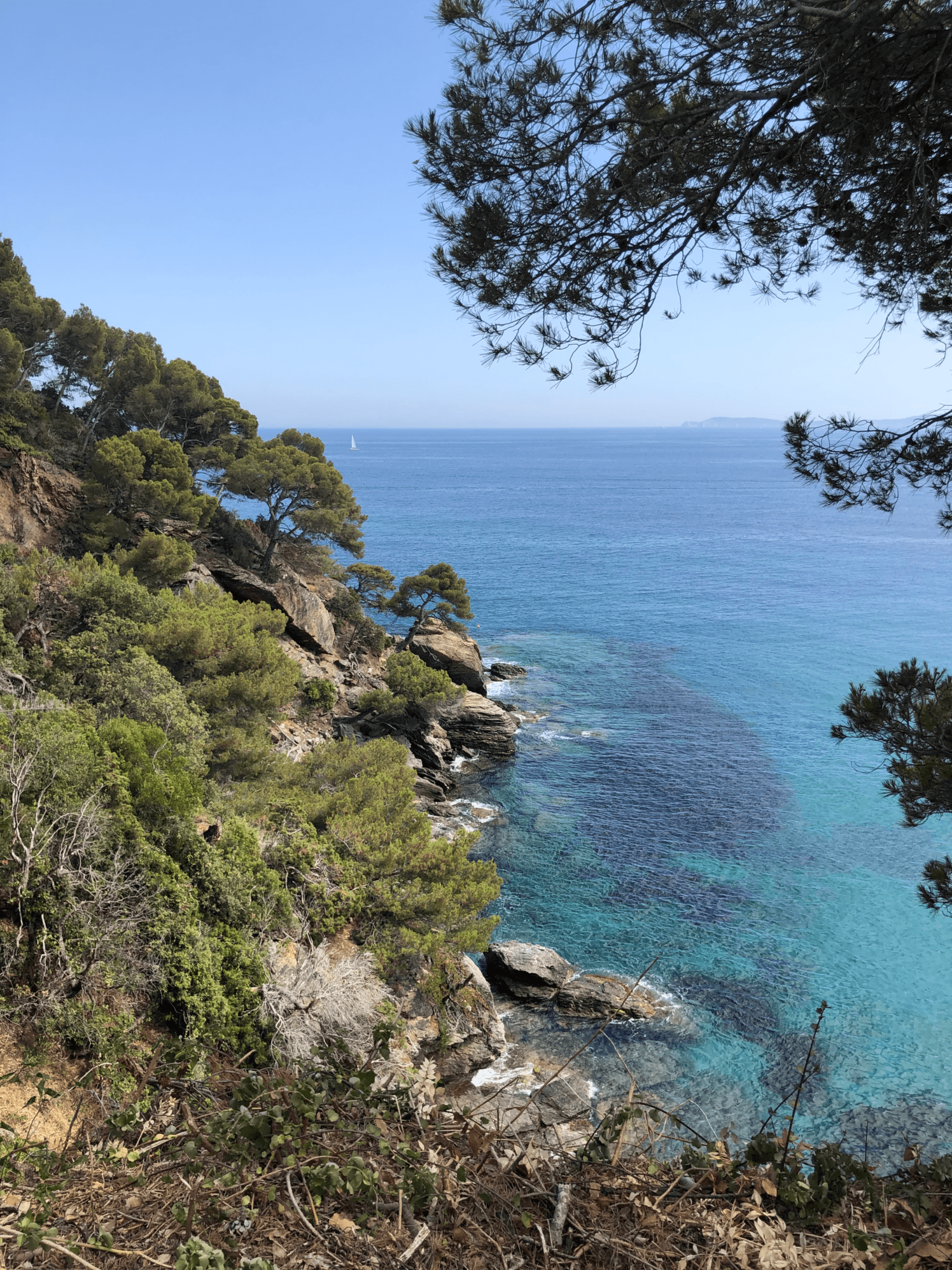 Image de l'article