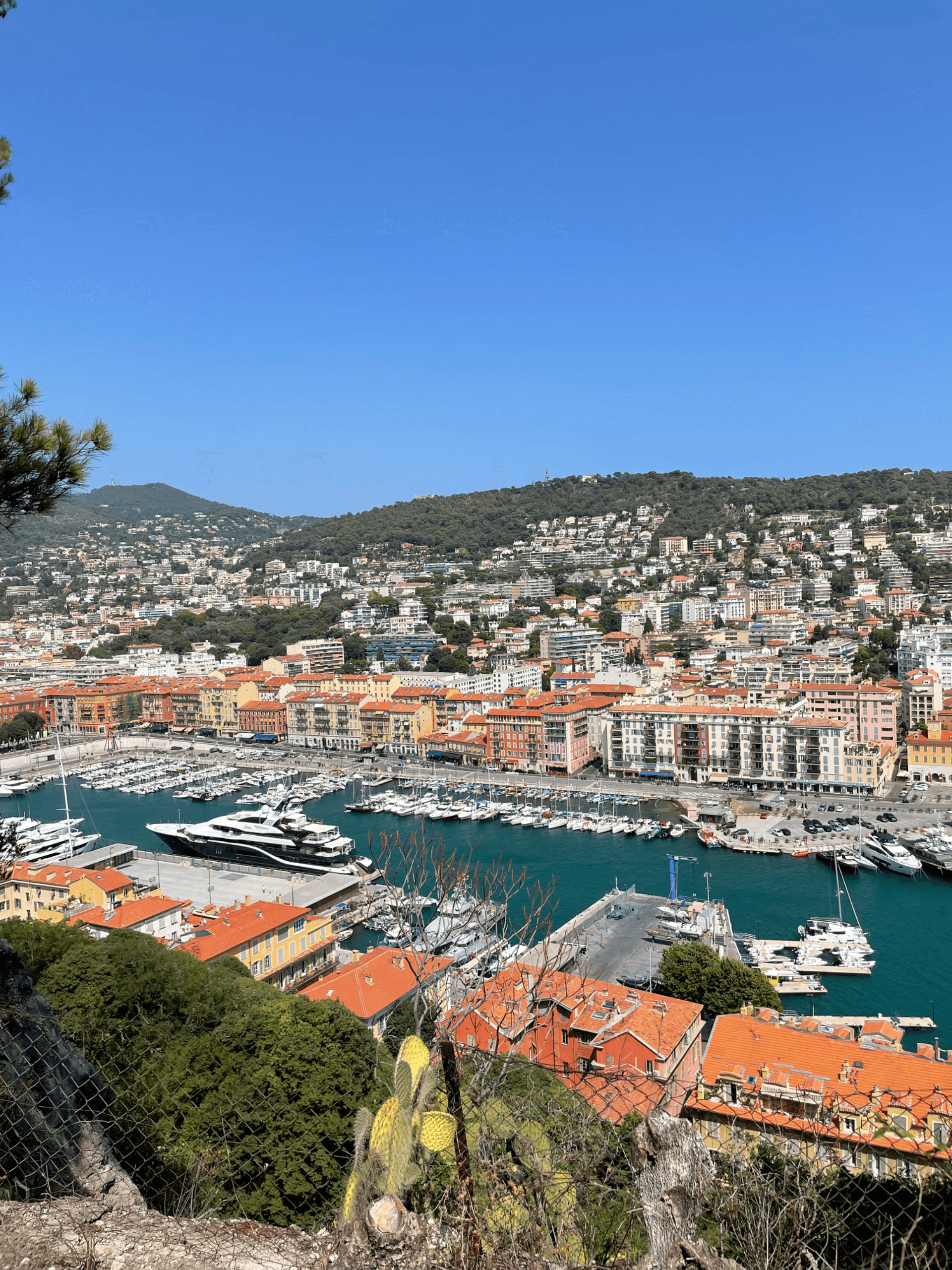 Image de l'article
