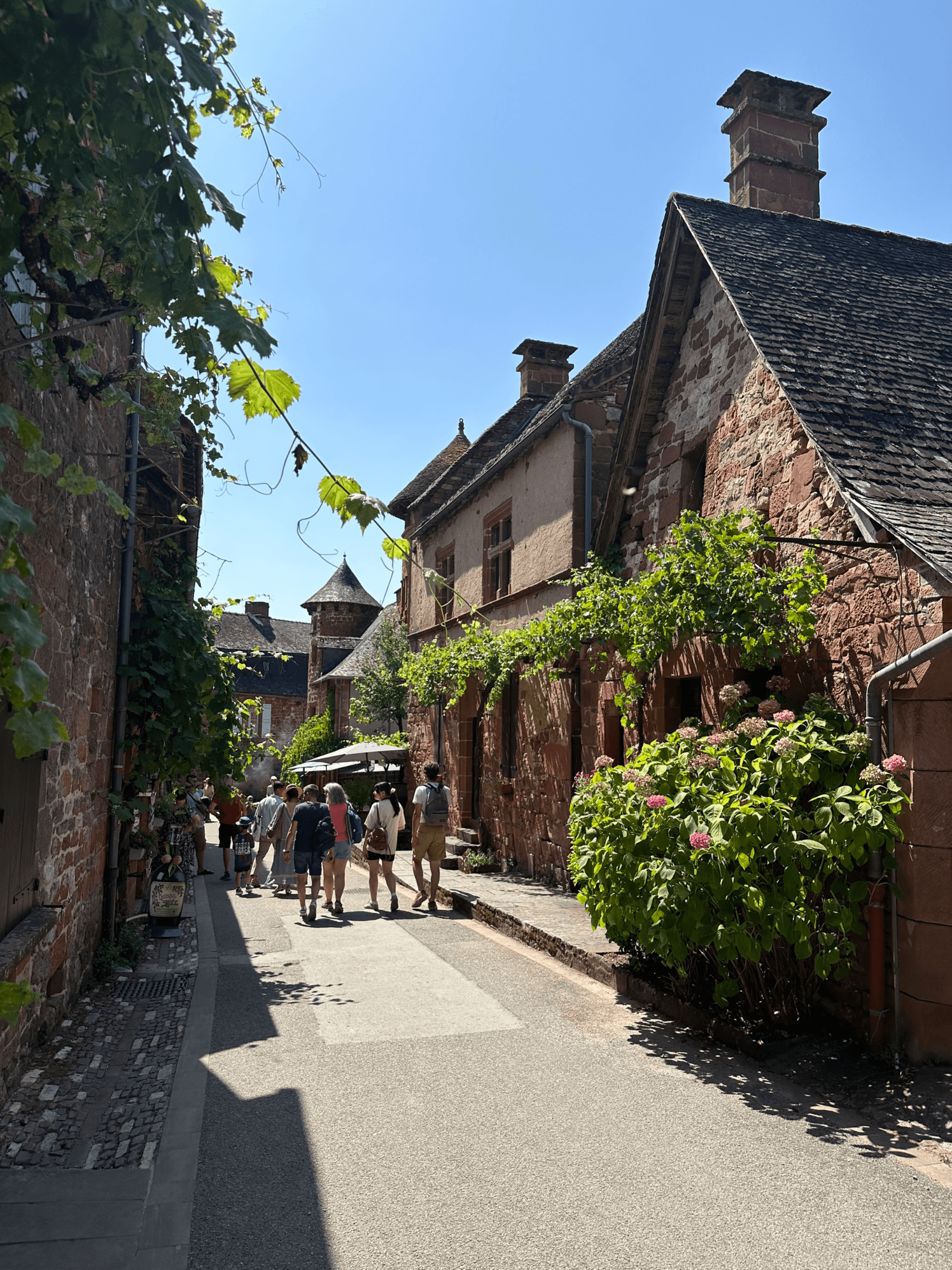 Image de l'article