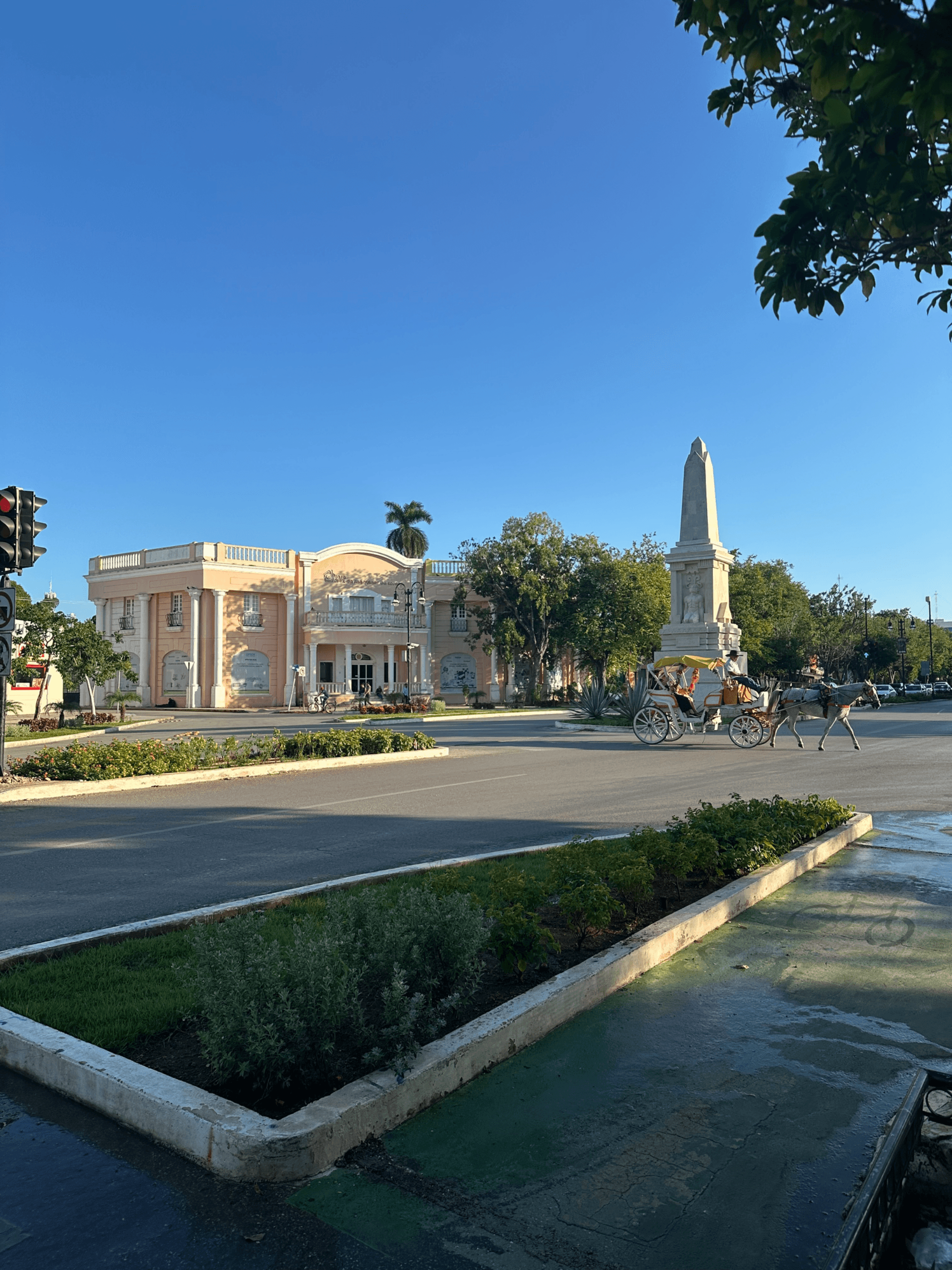 Image de l'article