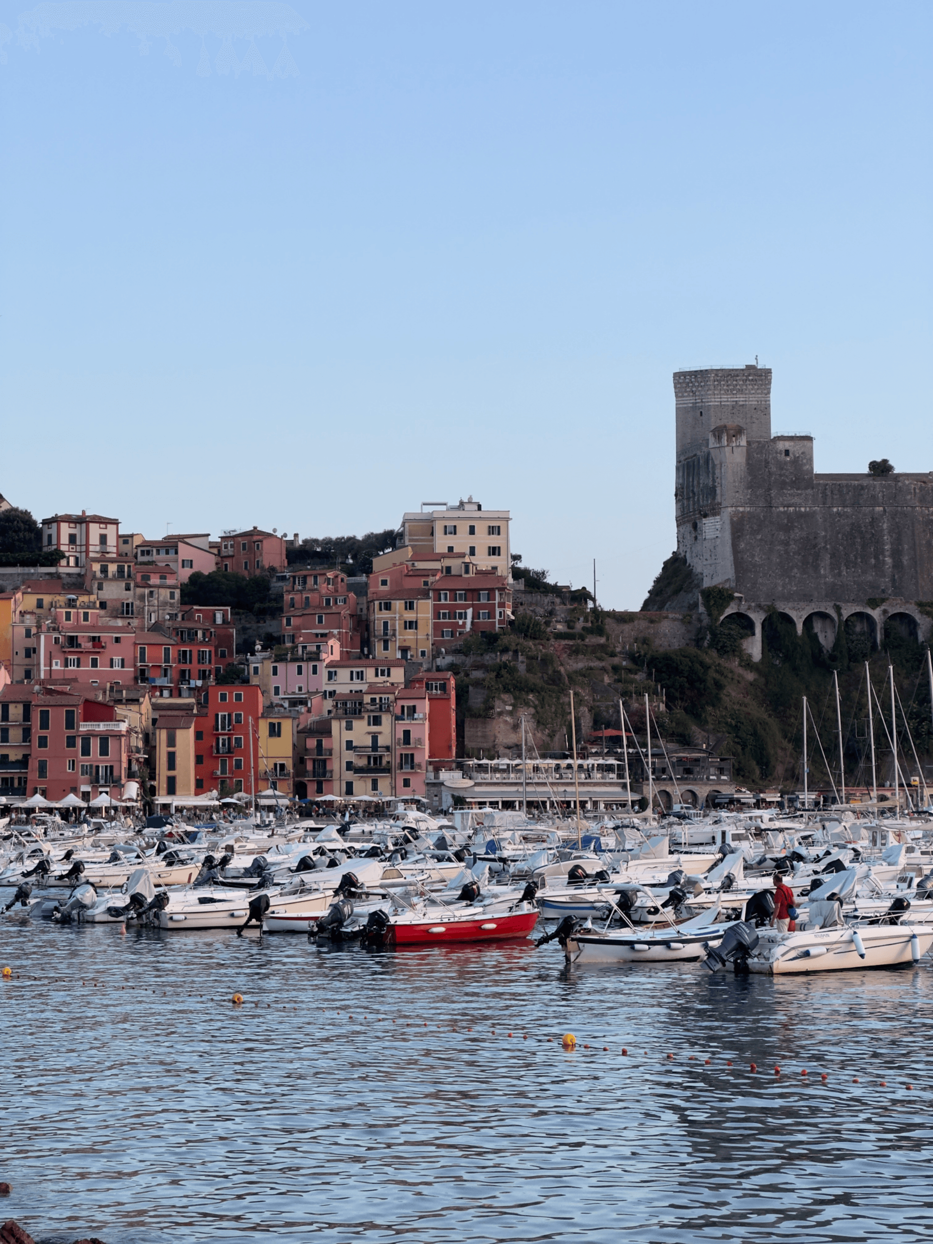 Image de l'article