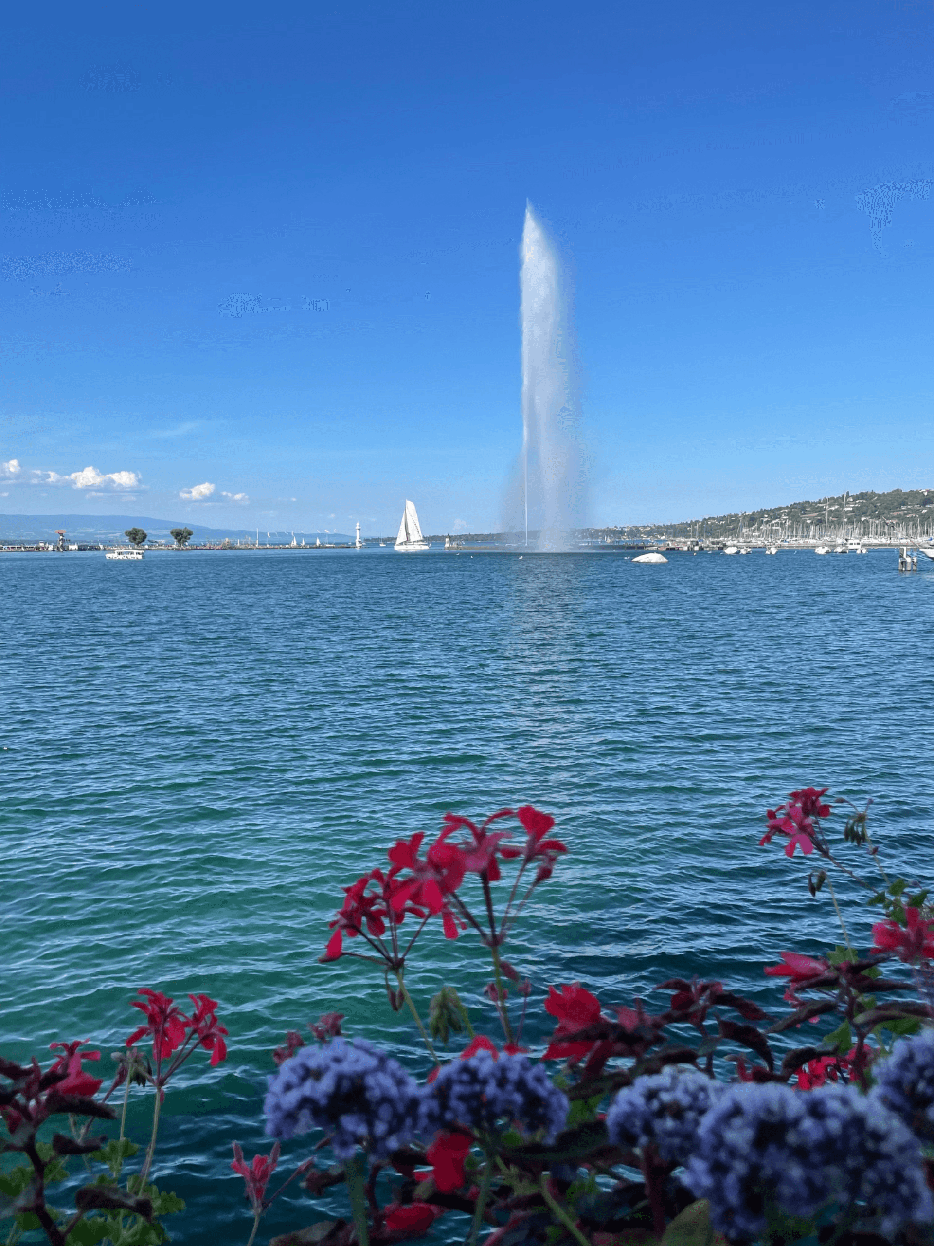 Que faire à Genève ?