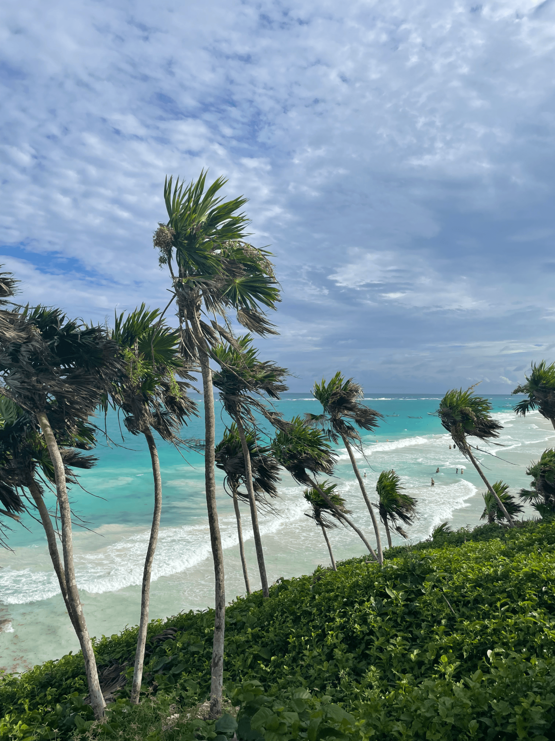 Road Trip dans le sud du Mexique